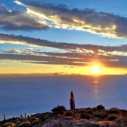 Aussicht von der Isla Incahuasi.