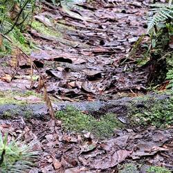 Schweizer Wanderwege