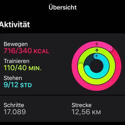 Even though I took the bus, I still collected so many steps.