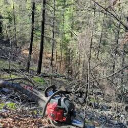 Arbeitsplatz, hauptberuflich Bergziege (ist sehr steil)