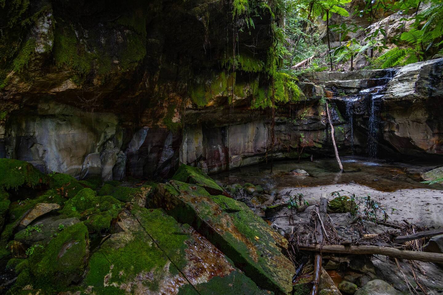 Moss Garden