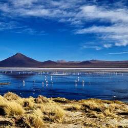 Die Laguna Colorada.