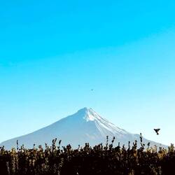 Mount Taranaki im Egmont National Park