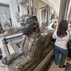 Egyptian monuments recovered