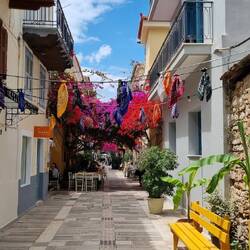 Essen unter dem Blütenmeer