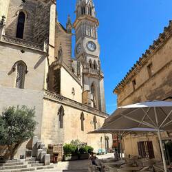 Highlight in Manacor