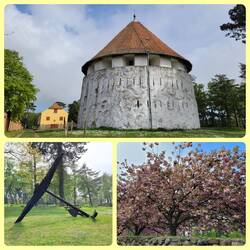 das Verteidigungsmuseum