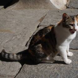 hets echt min salami überchu😋