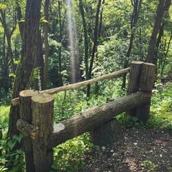 A perfectly timed bench