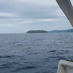 Auf der Bootfahrt sehen wir Delphine:)