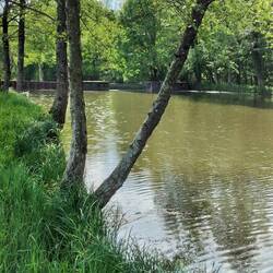 Altes Schleusenbecken