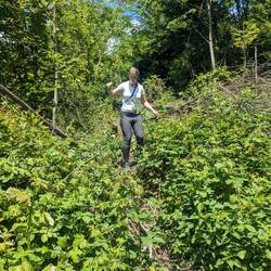 Der Weg war uns dann aber doch etwas zu bewachsen