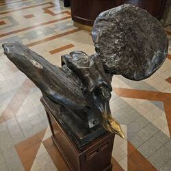 A replica of the container for Dante's ashes