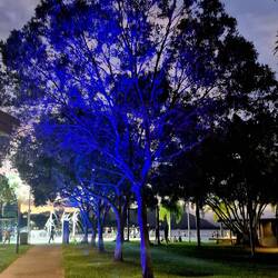 wohin man schaut, überall spezielle beläuchtung