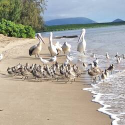 Momentaufnahme beim Spaziergan vor Schulbeginn an der Promenade
