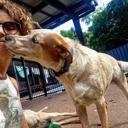 by by Lilly & Rusty🥰