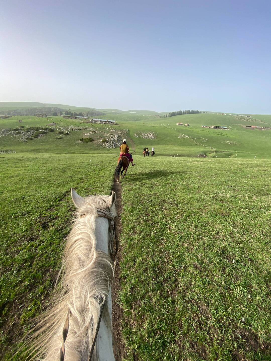 Off on the horses