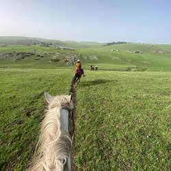Off on the horses