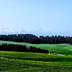 Morning view from our Mongol Bao