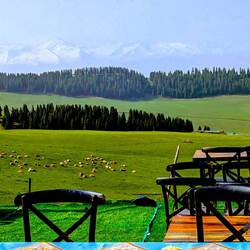 Breakfast with a view