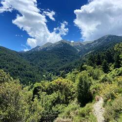 Der Weg führte nach diesem Teilstück steil hinauf durch duftende Nadelwälder.