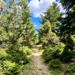 auf dem Weg zur Taygetos-Schutzhütte