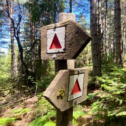 So gut wie heute war der Wanderweg bis jetzt noch nirgendwo markiert.