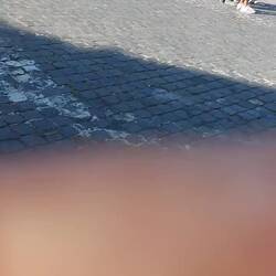 Due to a fun run raising awareness and funds for Cancer all roads around Colosseum were closed