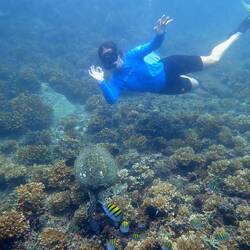 Da kommen Kugelfische und Sergeant Major auch gleich noch mit dazu:)