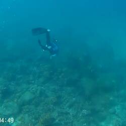 Antony entdeckt eine weitere Schildi. Laura möchte auch mit aufs Video 😀