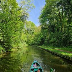 So green!