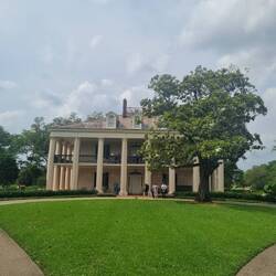 Das Plantagenhaus Oak Alley.