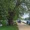 A lazy, warm Sunday in the park... how English is that?