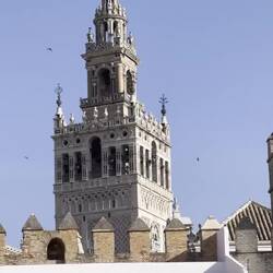 The ringing bells