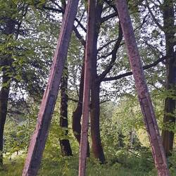 Höchster Punkt Ostpreussens mit 312m