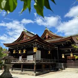 Kitano Tenmagu shrine, devoted to academics