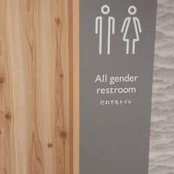 Fortschrittliches Japan