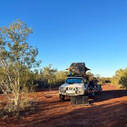Wir stehen versteckt hinter Bäumen
