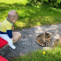 Valentin schaut sich eine Katze an