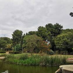 Suchbild: Hier sonnt sich eine Schildkröte! 🐢