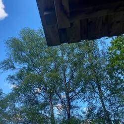 Nap POV