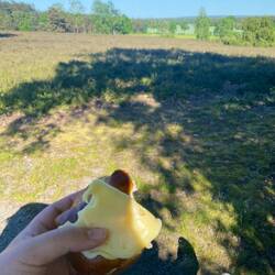 Abendbrot- sehr windig, Käse fast weggeflogen