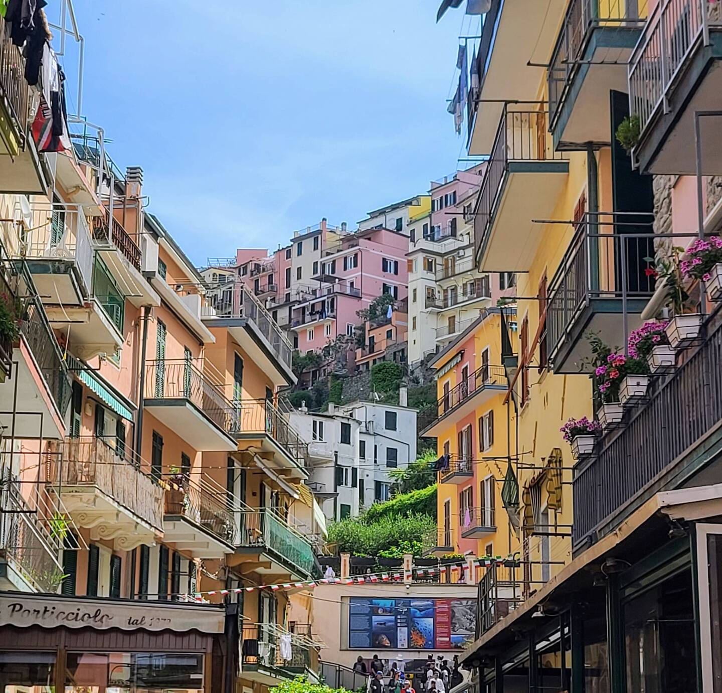 Manarola