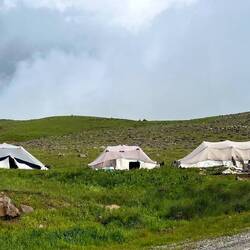 Nomadic shepherds