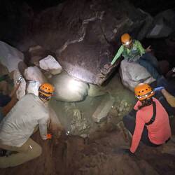 Beim Beobachten der blinden Fische...