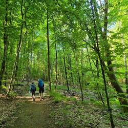Endlich Wald 😉