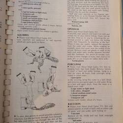 Ein ganz normales Kochbuch- Waschbär kochen :)