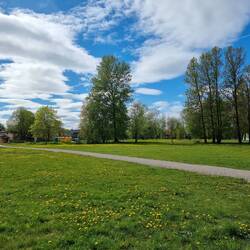 Green park/ groene park