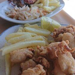 Stuffed squid, grilled baby octopus