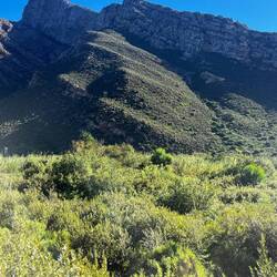 View from the train on way to Cape Town
